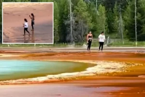 Visitors at Yellowstone traverse the Grand Prismatic, causing anger.