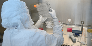 We created stem cells to develop human eggs, tech company states
