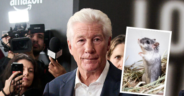 White House Communications Head Steven Cheung Mocks Richard Gere as 'The Guy Who Might Have Put a Gerbil Up His Rear'