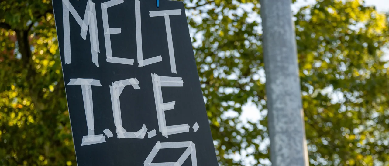 Woman Opposed to ICE Found Killed — Suspect Is 'Asylum Seeker' She Encountered at Pro-Palestine Rally