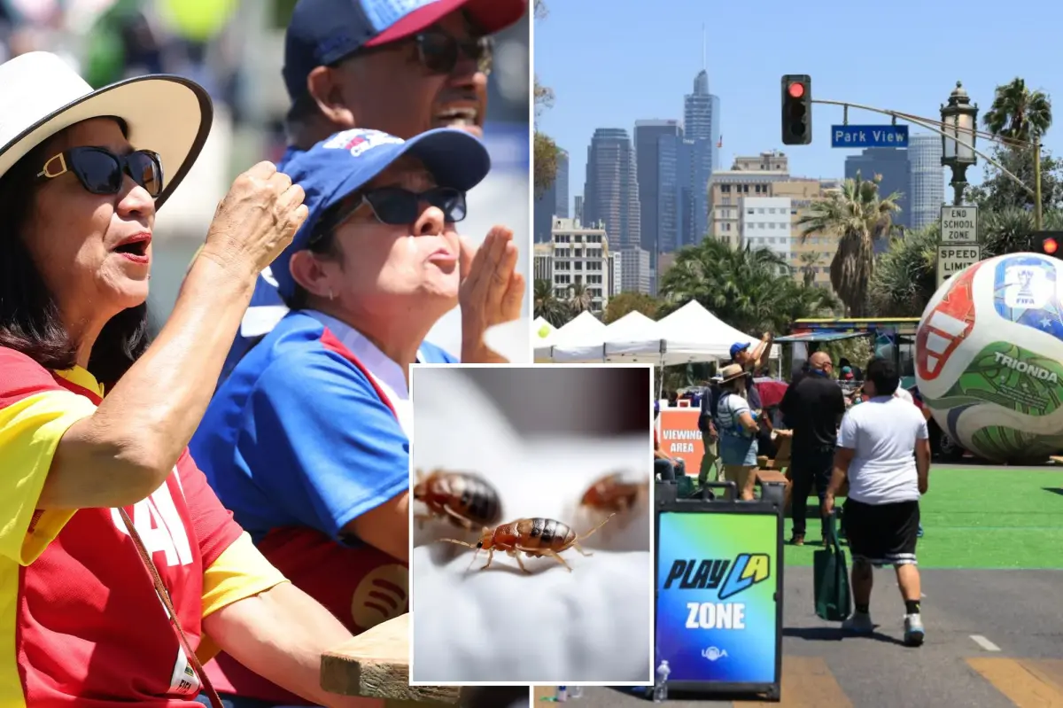 World Cup fans cautioned about bed bug issues at MacArthur Park in LA