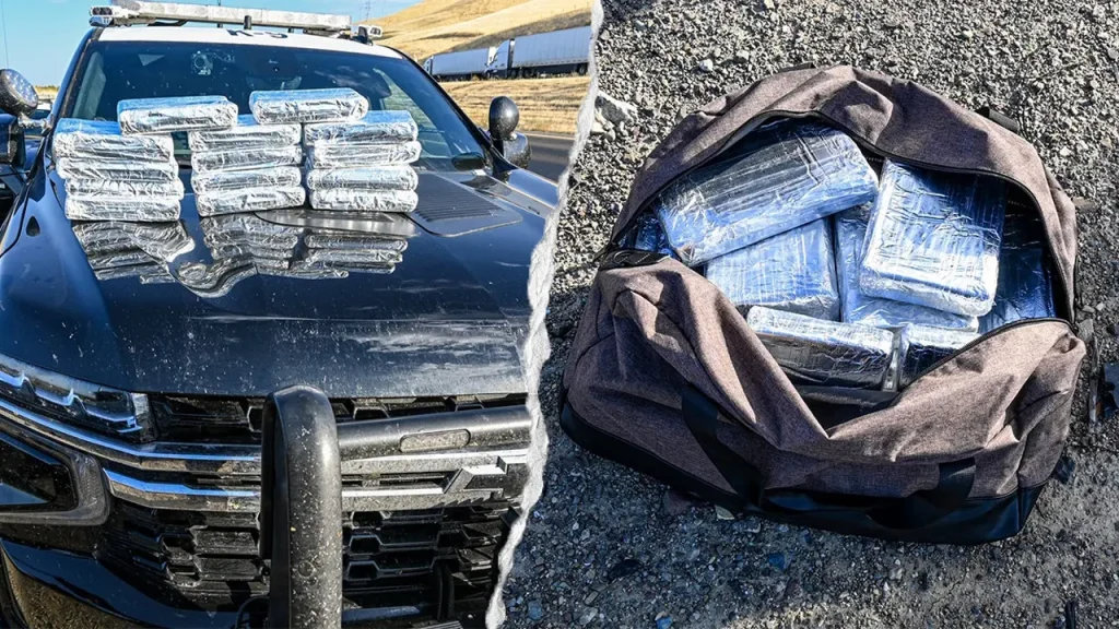 $800K worth of cocaine seized in California during traffic stop