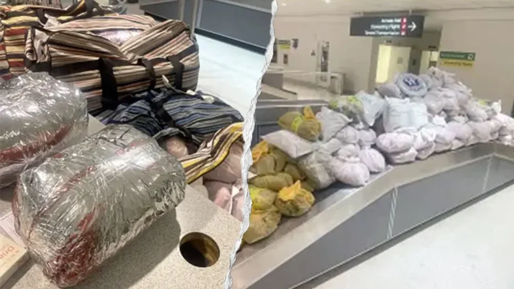 847 pounds of khat confiscated at Baltimore airport linked to two passengers