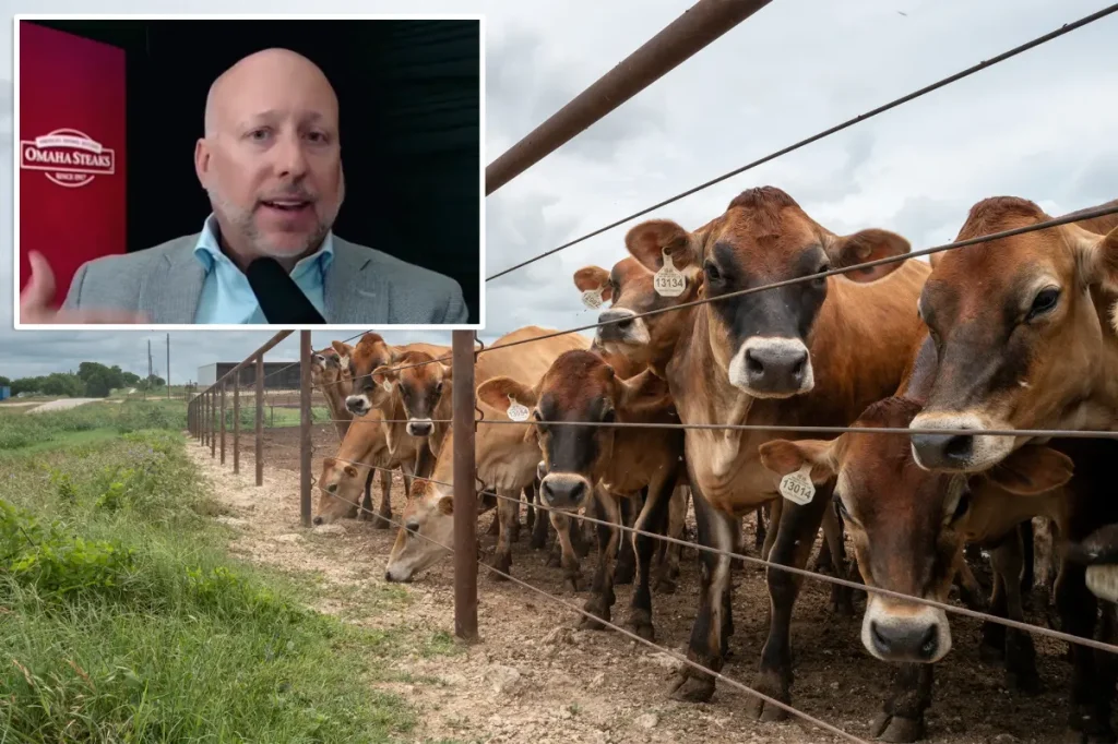 A significant shortage is putting pressure on a common American food, and help might take years to arrive.