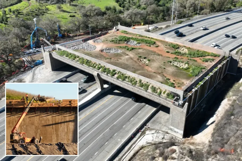 Agoura Road is shut down because of the Wallis Annenberg Wildlife Crossing