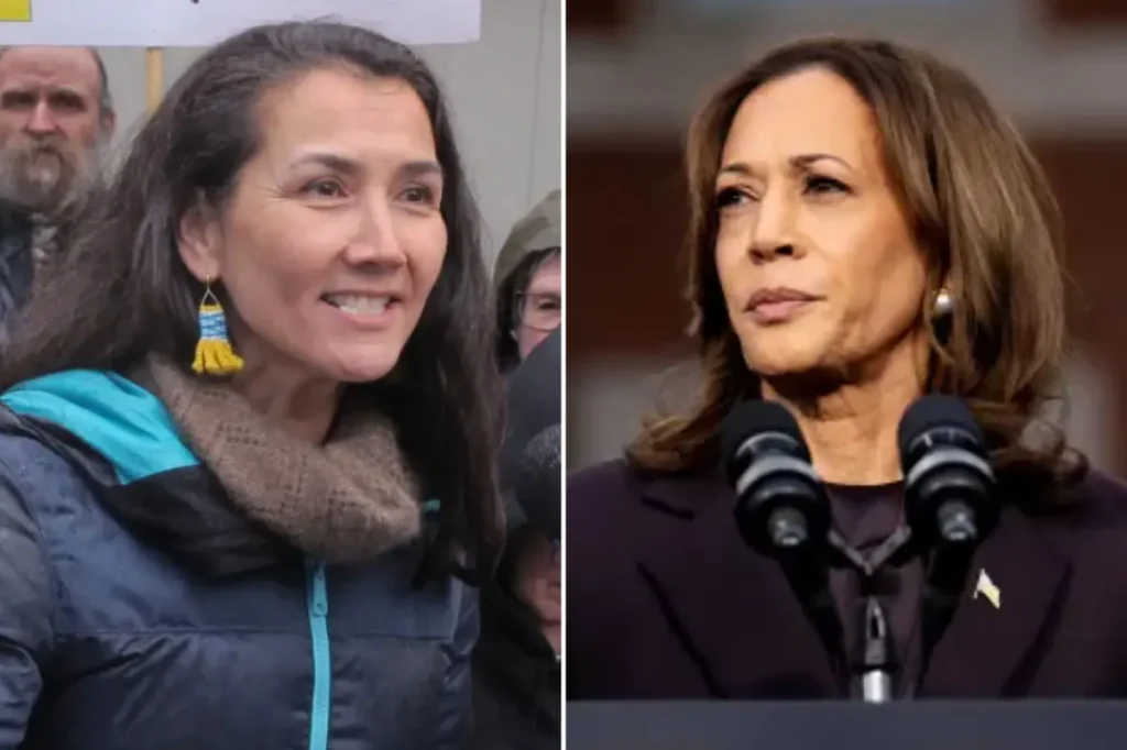 Alaska Democrat declines backing from Kamala Harris before Senate primary