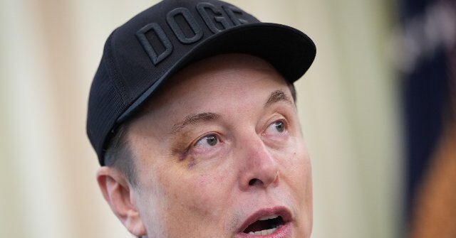 "Animals Focused on Status": Michael Saylor Challenges Elon Musk's Claim that AI Will Render Money Unimportant