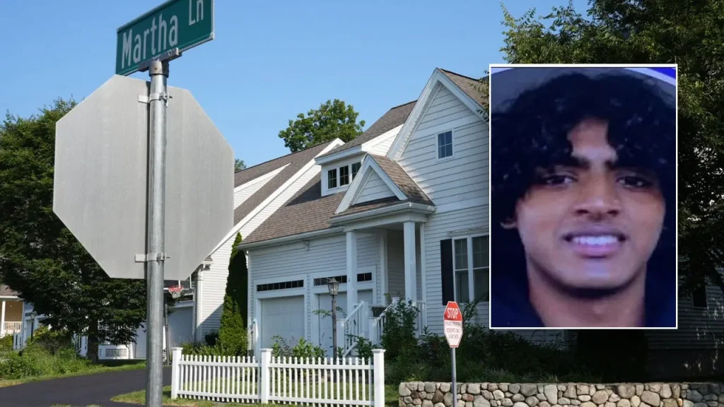 Arjun Aravind's bail request is denied after prosecutors disclose supposed searches for killing-related information using ChatGPT.