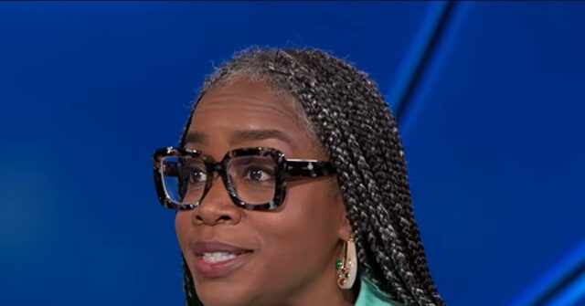Atkins Stohr: Democrats Aiming for Inclusive Approach by Addressing Woke Issues