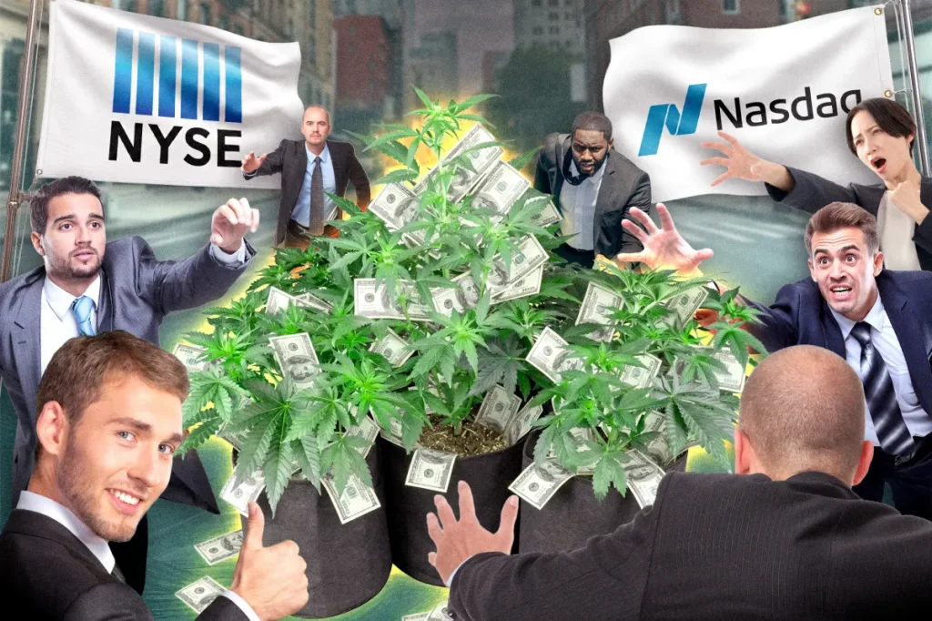 Cannabis firms are preparing for initial public offerings, and the NYSE and Nasdaq are eager to include them.