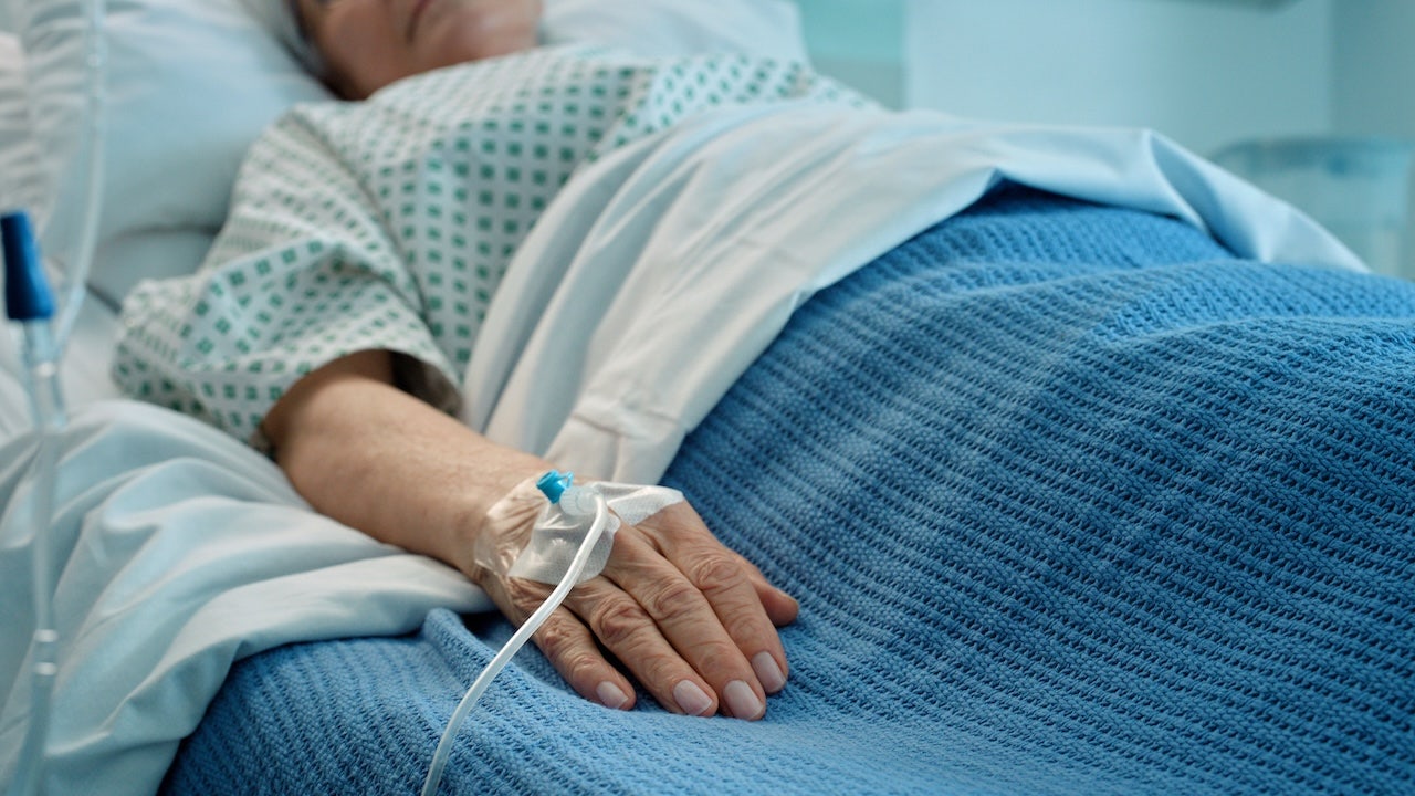 Cases of Candida auris exceed 3,437 in 27 US states, according to CDC data