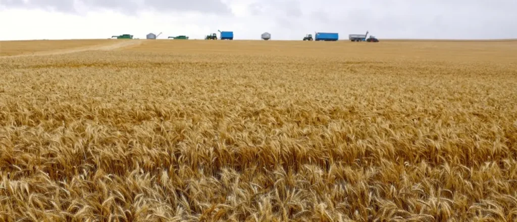 Crop Prices Reach Highest Jump in 14 Years Amid Ongoing Conflicts in Iran and Ukraine