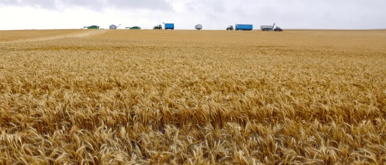 Crop Prices Reach Highest Jump in 14 Years Amid Ongoing Conflicts in Iran and Ukraine