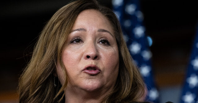 Dem. Rep: 'It's Frightening' Social Media Won't Take Down 'False' Voting Information