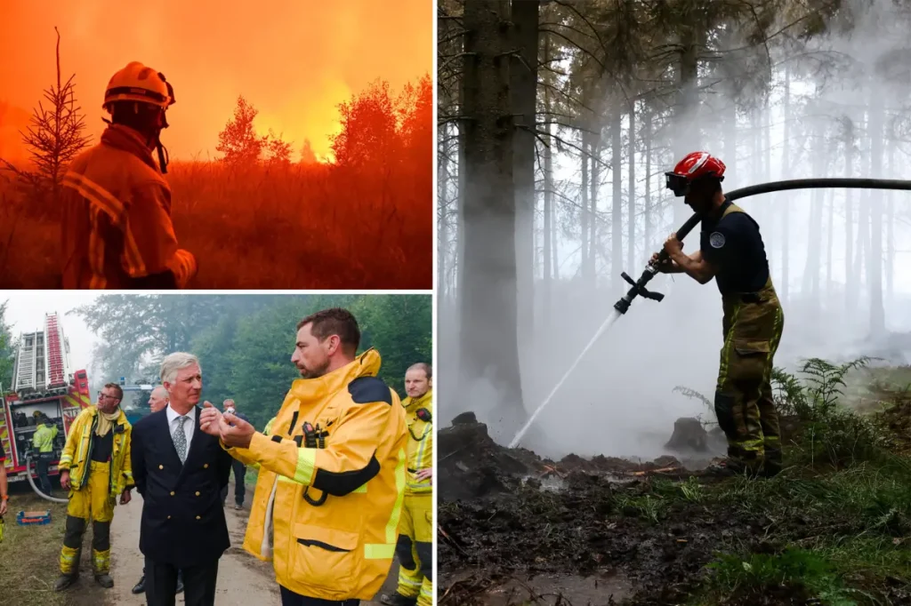 Destructive wildfire in Belgium heads to Germany as fires ignite in Greece and France: 'Recovery will take decades'