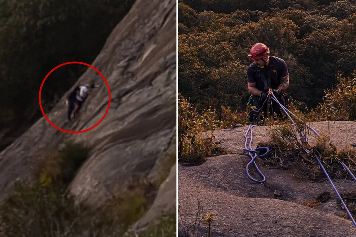 Firefighter saves free climber trapped on a Georgia cliff who contacted 911