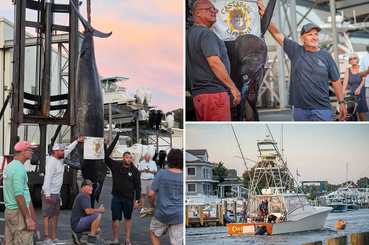 Fishermen in Massachusetts catch a 1,260-pound blue marlin, thought to be the biggest fish caught on the East Coast
