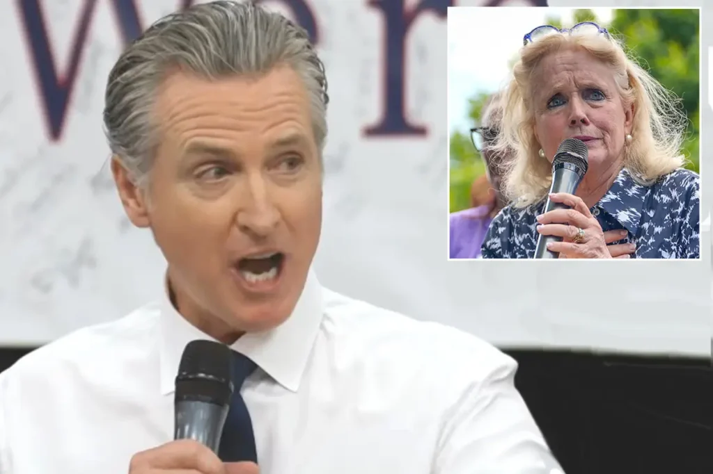Gavin Newsom's trip to Michigan faced harsh criticism from local Democrats