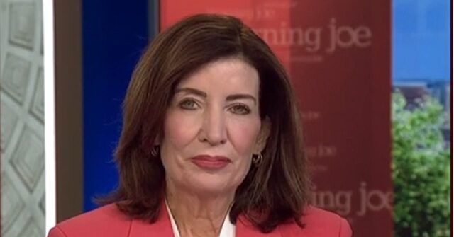 Hochul: I Hope 'Rogue Policing' ICE Will Just Disband and Return to INS