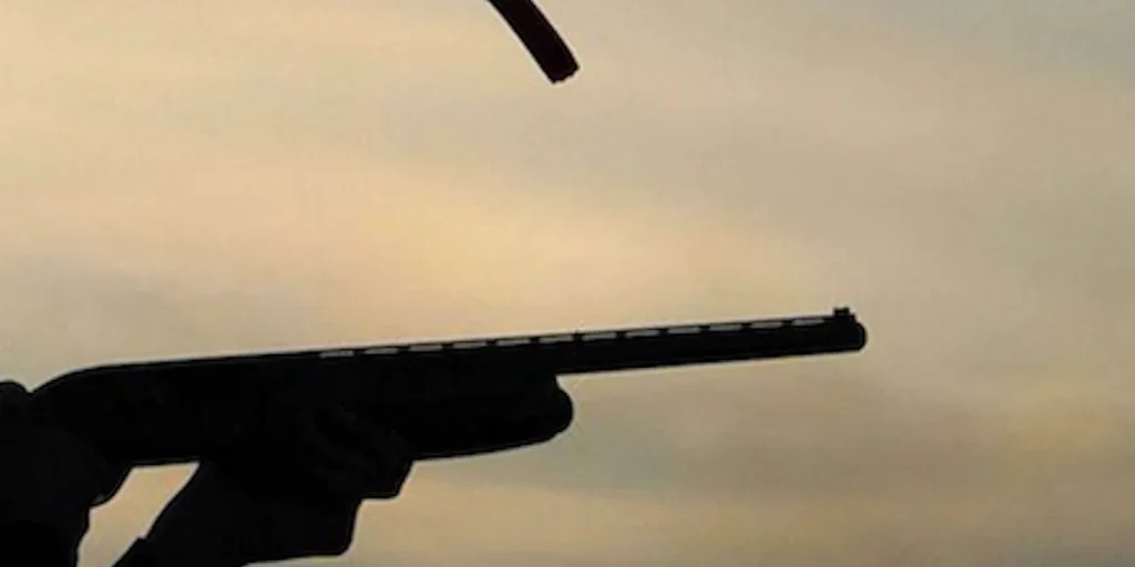 Homeowner with a shotgun shoots out tires of suspected burglars' car &mdash; and the alleged thieves amusingly comply