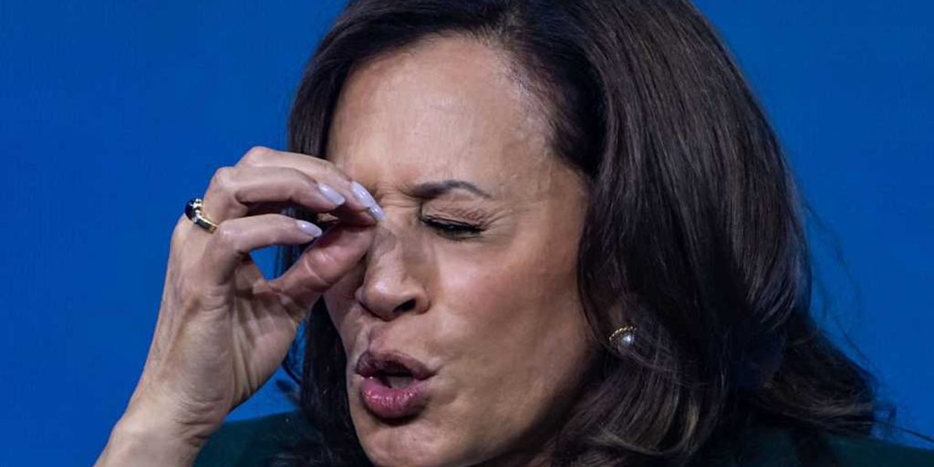 How Kamala Harris unintentionally promoted the SAVE America Act