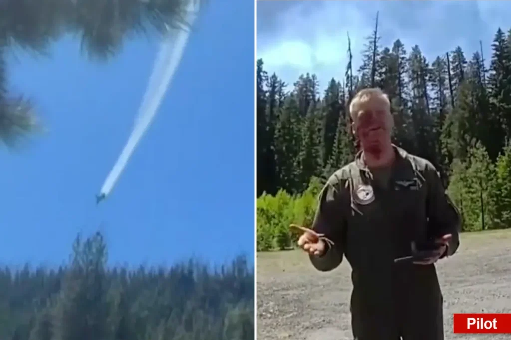 Injured Marine pilot walks away from burning fighter jet wreckage: 'You really hit that tree hard, buddy'