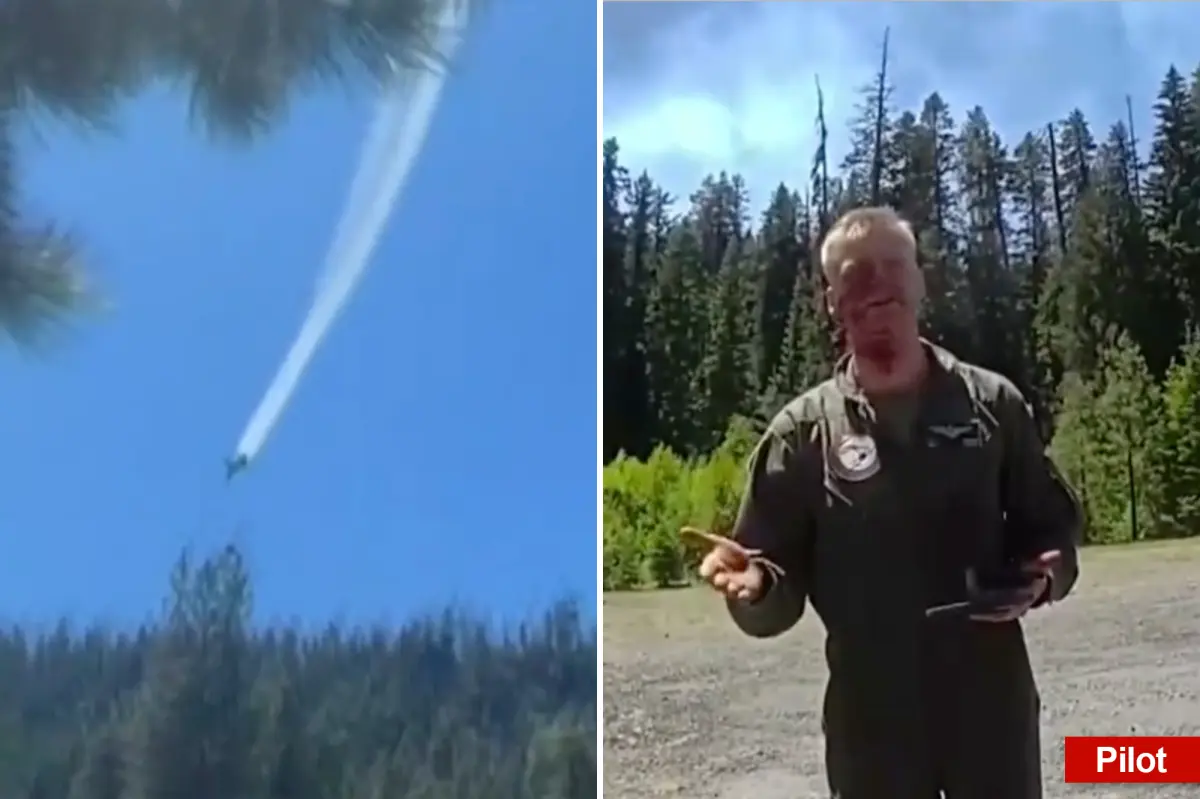 Injured Marine pilot walks away from burning fighter jet wreckage: 'You really hit that tree hard, buddy'