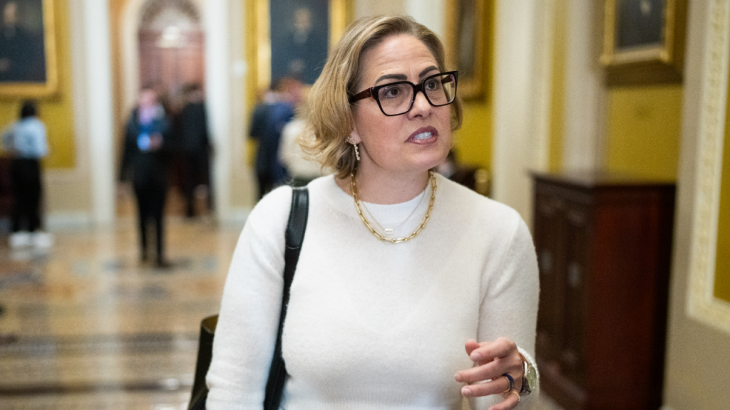 Kyrsten Sinema is dealing with a lawsuit concerning alienation of affection in North Carolina.