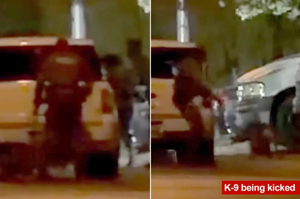 Las Vegas police officer reportedly seen on video kicking a K-9 twice