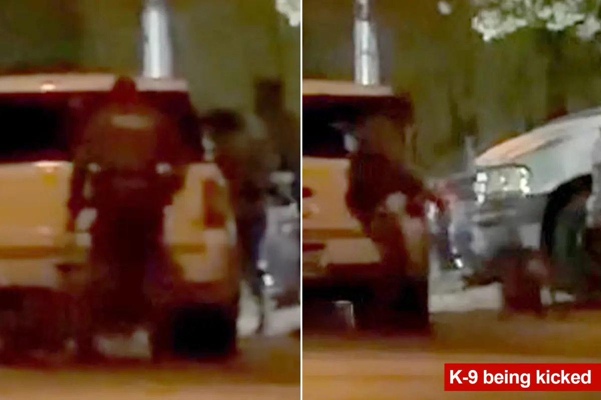 Las Vegas police officer reportedly seen on video kicking a K-9 twice