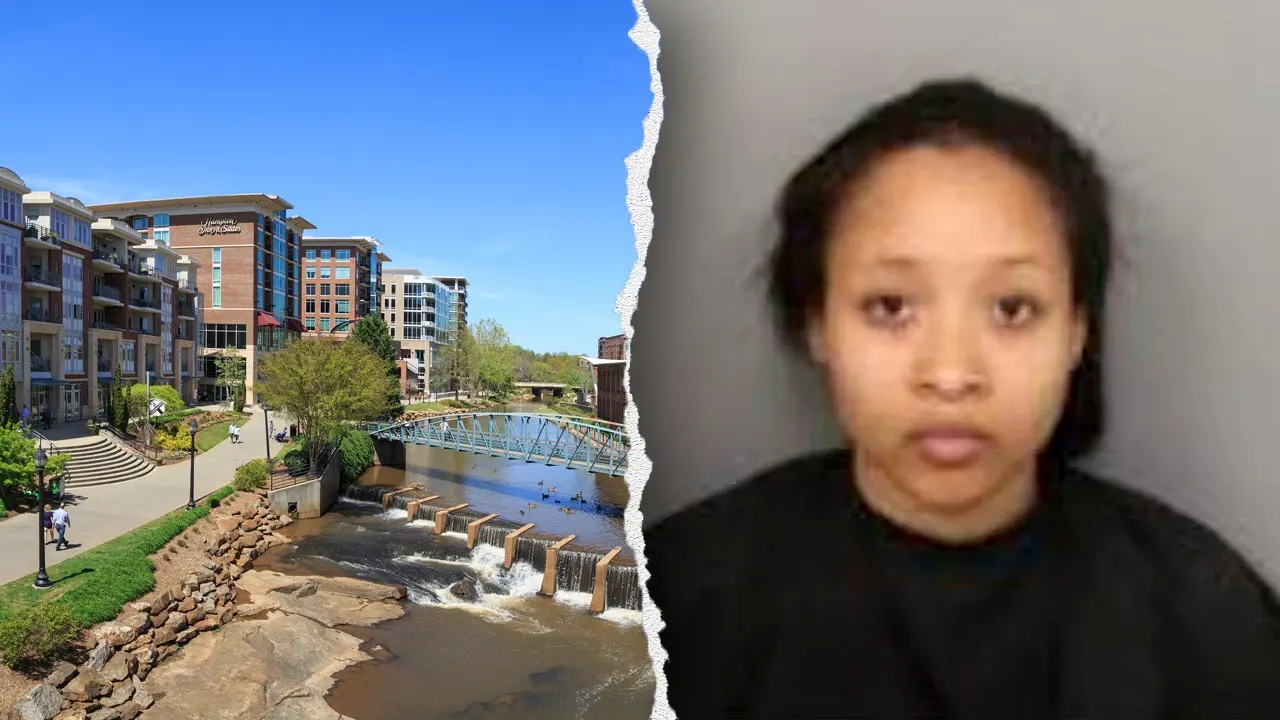 Lyft driver stabbing suspect's bond request rejected due to claimed mental health issues