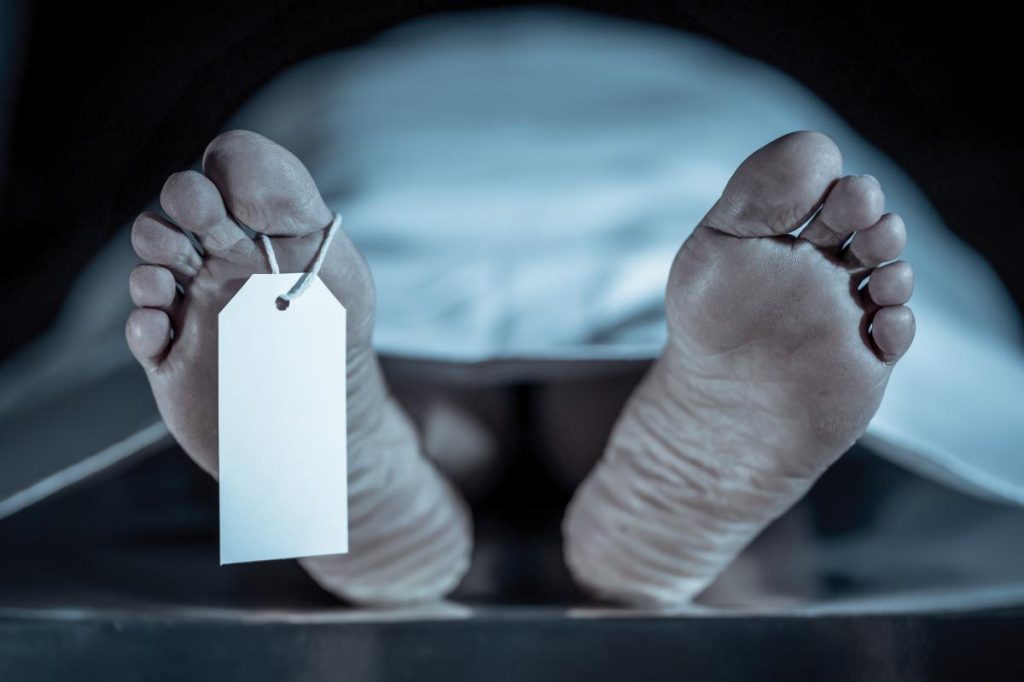 Most lethal animal in the world causes over 700,000 deaths annually