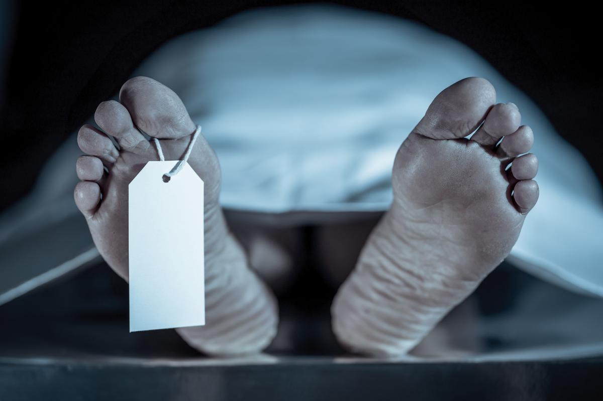 Most lethal animal in the world causes over 700,000 deaths annually