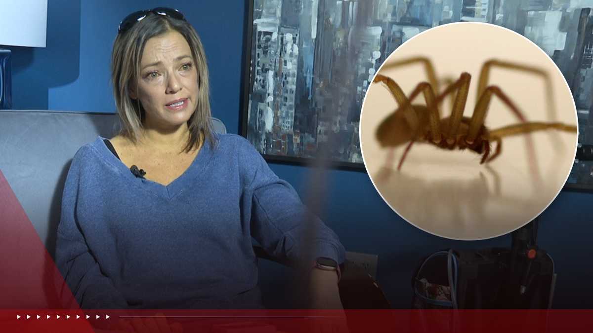 Mother of four battling for her life after being bitten by spiders at a campfire