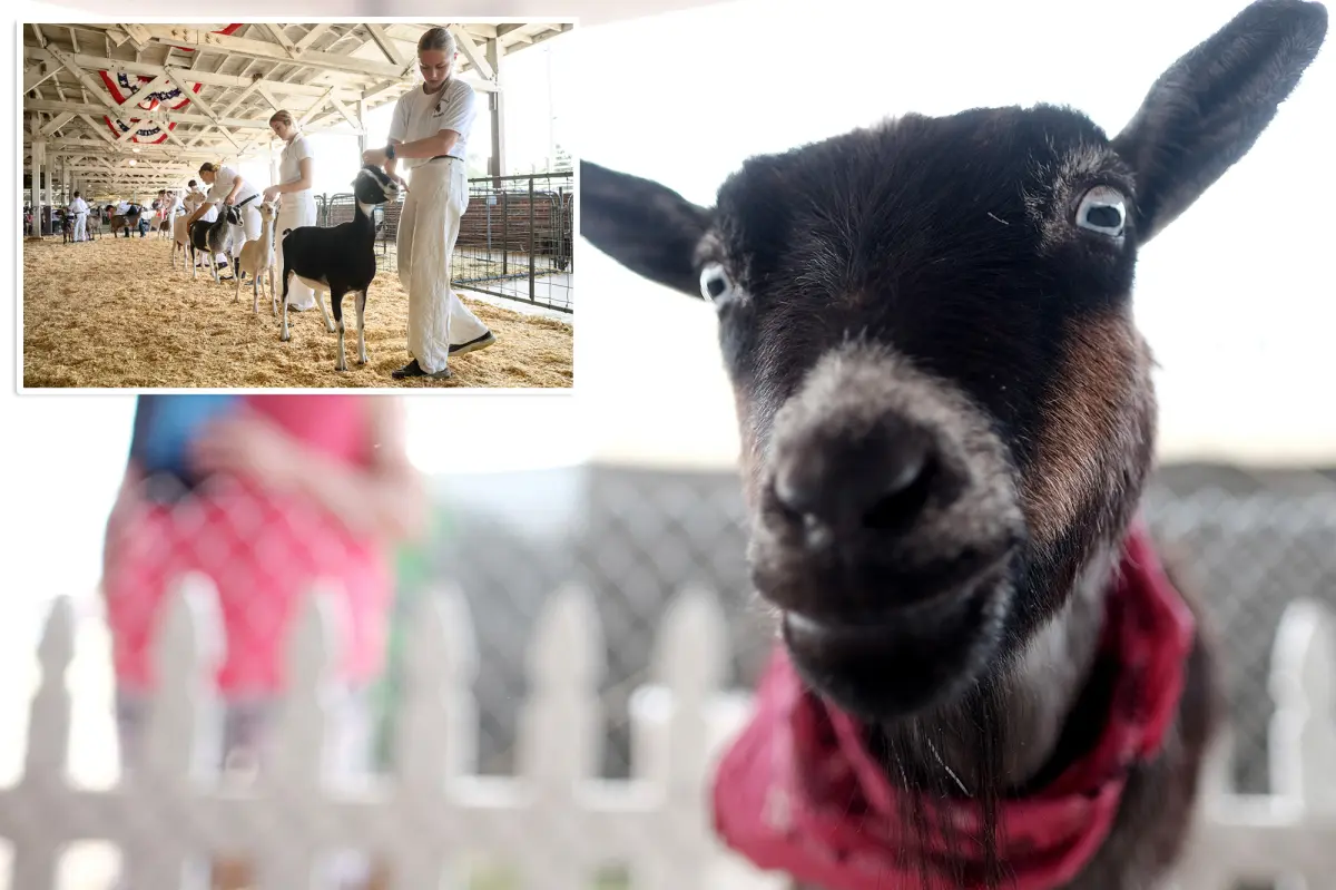 North Carolina alerts Farm Adventures guests about potential rabies risk following positive tests in baby goats.
