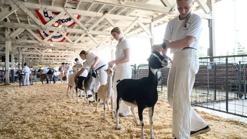North Carolina issues a rabies alert following positive tests in petting zoo goats.
