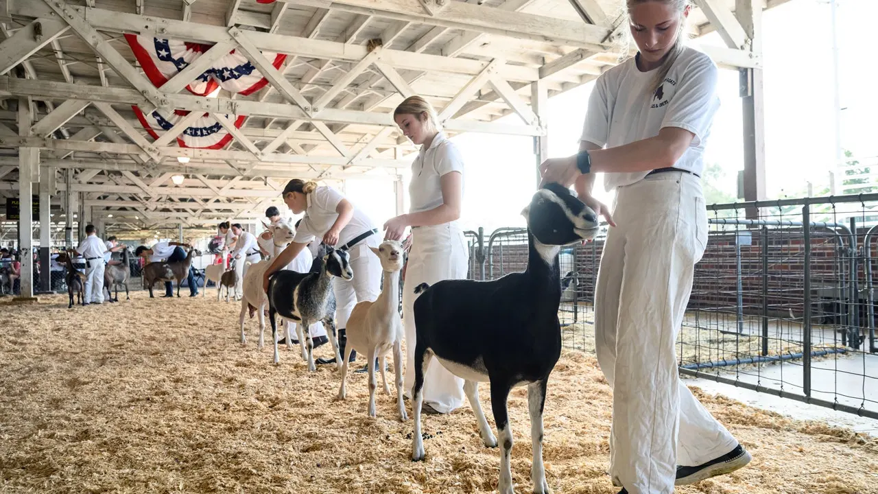 North Carolina issues a rabies alert following positive tests in petting zoo goats.