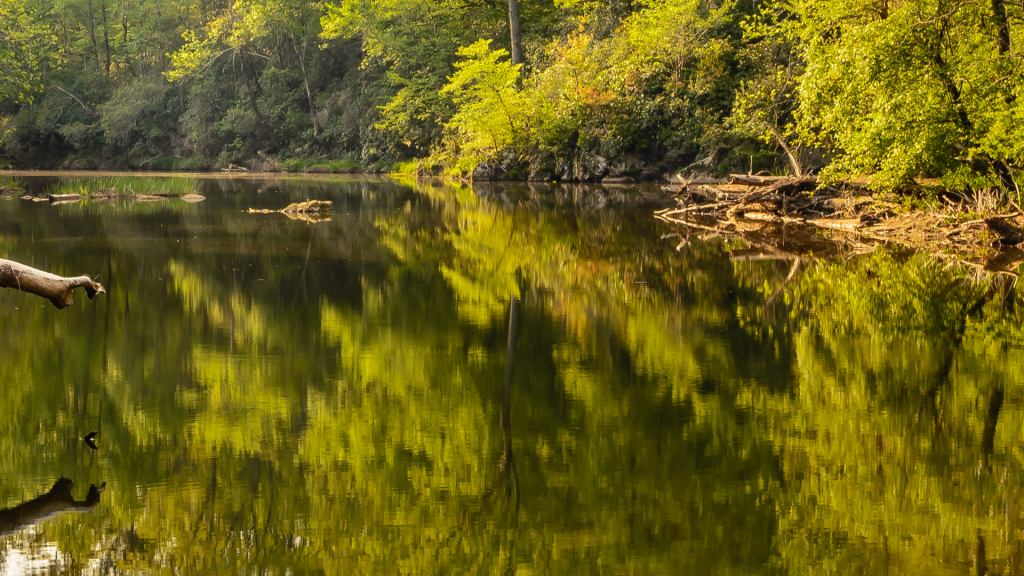 North Carolina teenager in serious condition due to amoeba in warm, fresh water