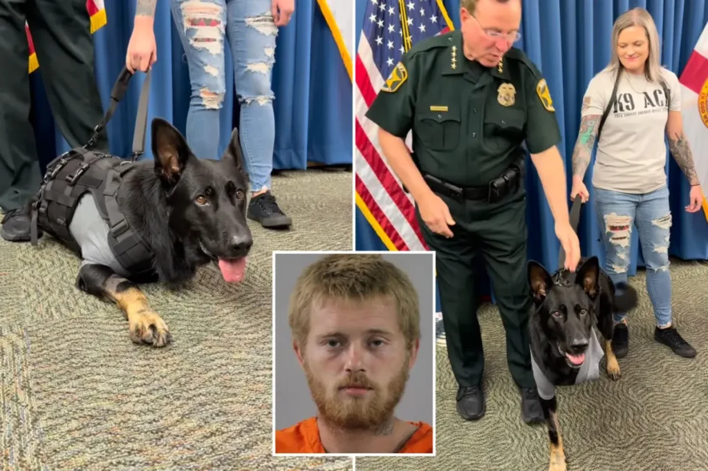 Polk County K9 back home days after being shot while safeguarding deputies