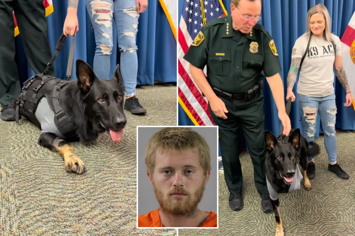 Polk County K9 back home days after being shot while safeguarding deputies