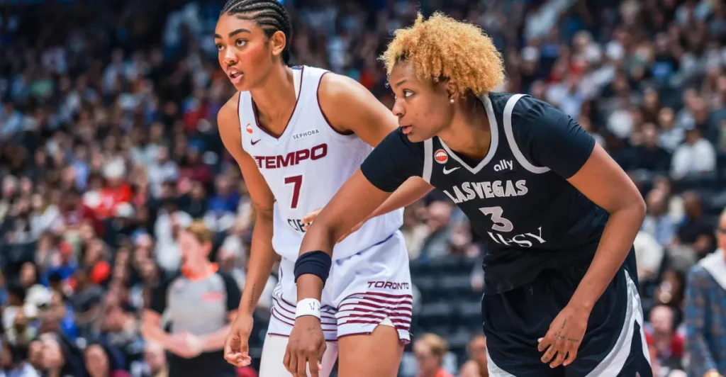 Recent WNBA injury may significantly affect the playoffs