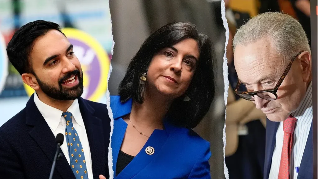 Rep Malliotakis claims Democrats are being hypocritical about voter ID in Congress