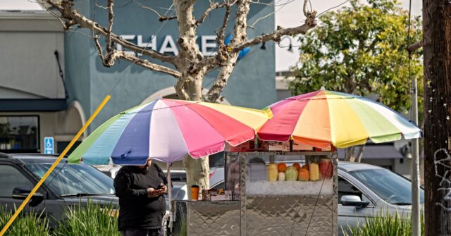Shocking Food Safety Breaches by Unlicensed Street Vendors in L.A.