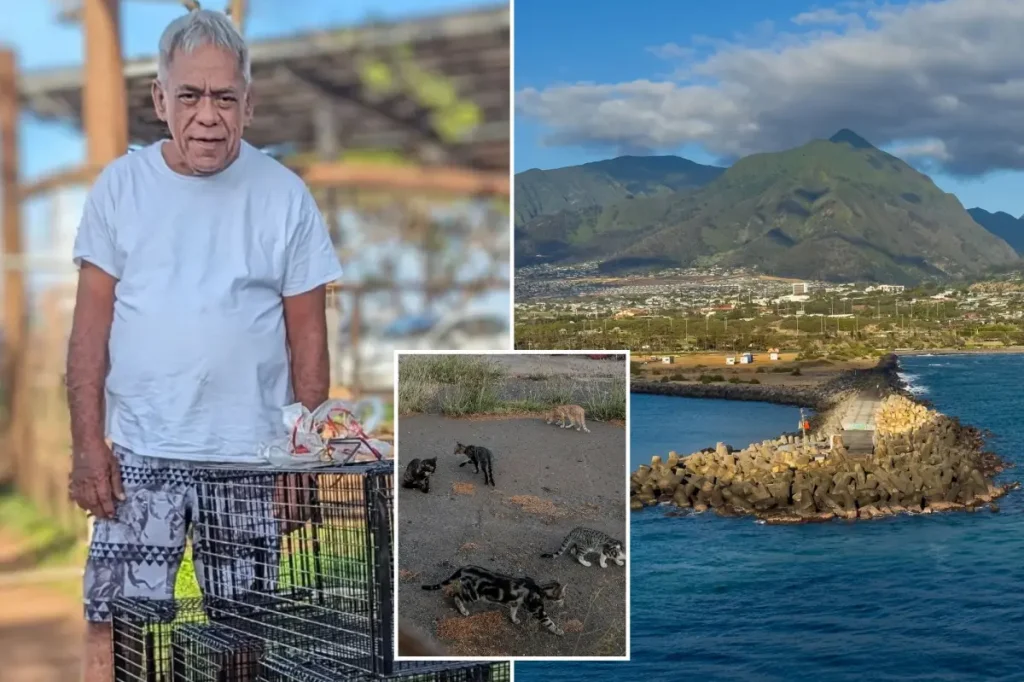 Sister shares details about the attack on a cherished caretaker of stray cats who was killed in Maui