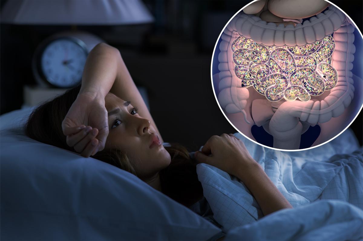 Stool transplants may improve sleep for people with insomnia