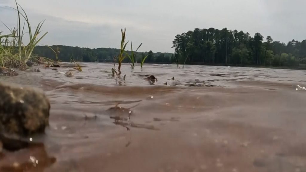 Teen in North Carolina develops uncommon brain infection probably linked to swimming. How did it occur? Are you at risk?