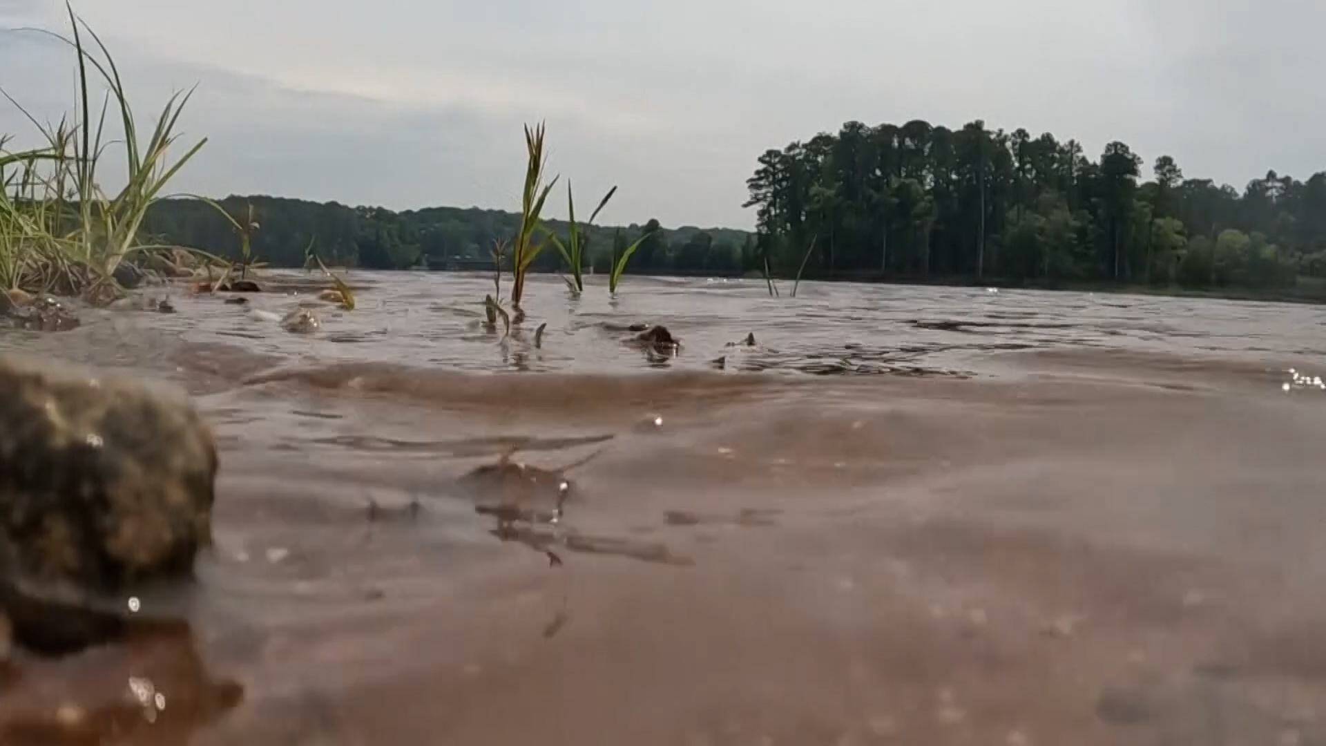 Teen in North Carolina develops uncommon brain infection probably linked to swimming. How did it occur? Are you at risk?