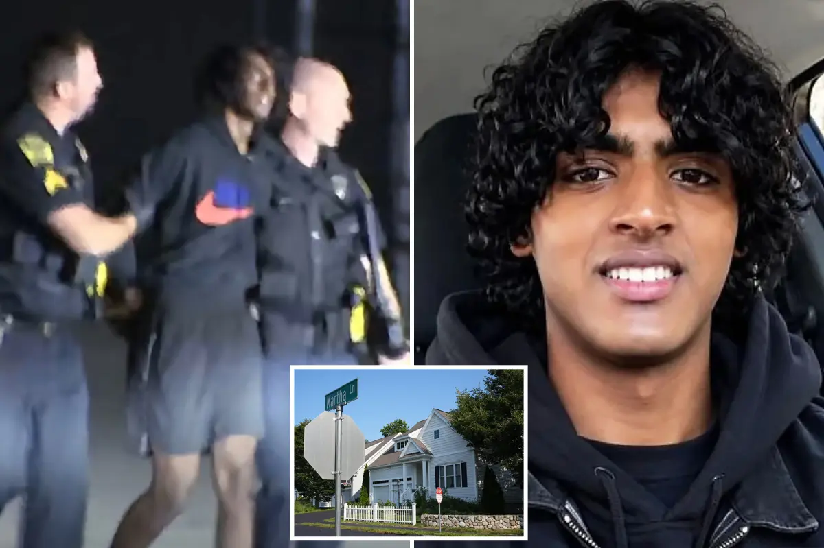 Teen reportedly killed mother and brother after requesting AI to generate 'fantasies' about harming family.