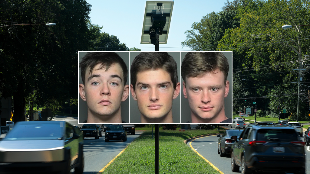 Teens in South Carolina arrested for reportedly damaging Flock Safety camera