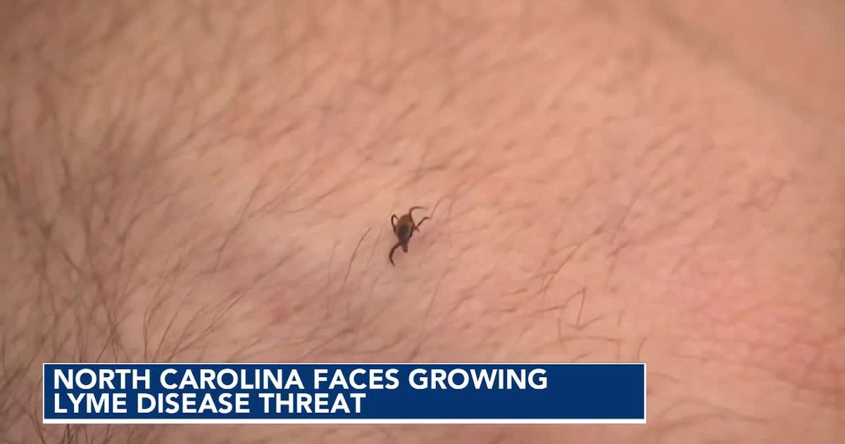 Ticks that transmit Lyme disease are increasing in North Carolina, a study reveals
